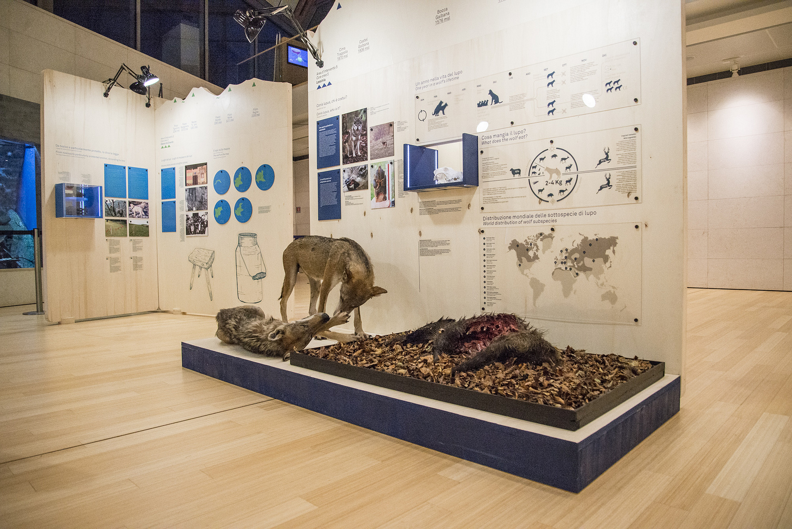 15586401503_37821689ff_h