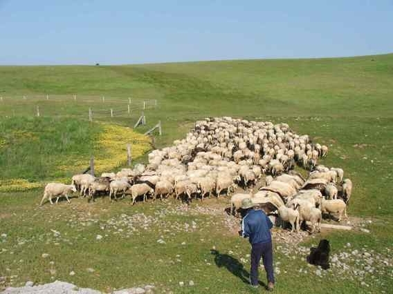 panik_20110126_1697914816