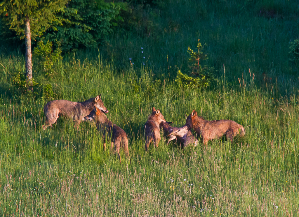 3_670x420__MG_7995-2