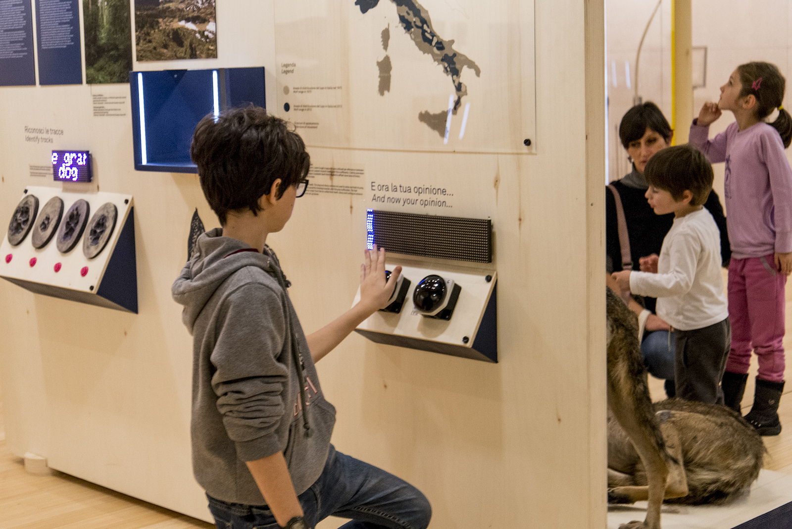 9_16018903160_fb4ba2a4d3_h