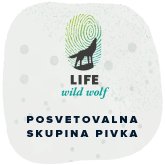 PSPivka-kvadratki-side-banner