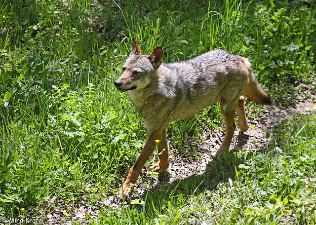 7935953024_169d2d70fe_z